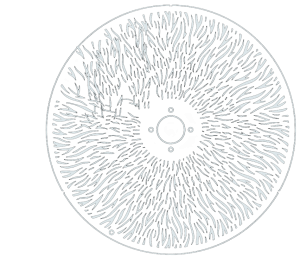 Animation wheel-png_1000W